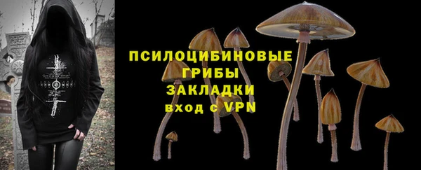 СК Алзамай