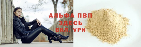 стафф Алексин