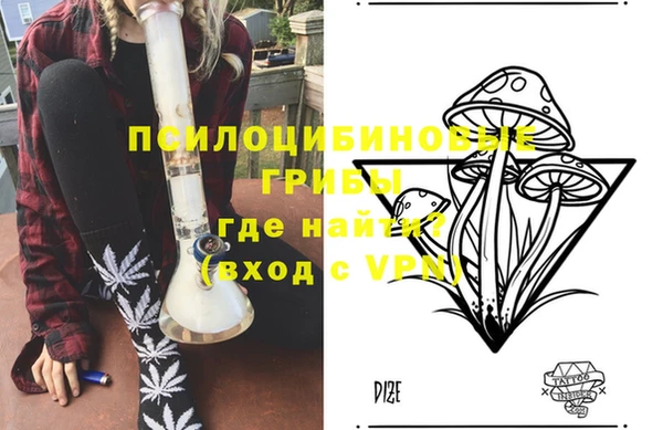 гашик Алексеевка