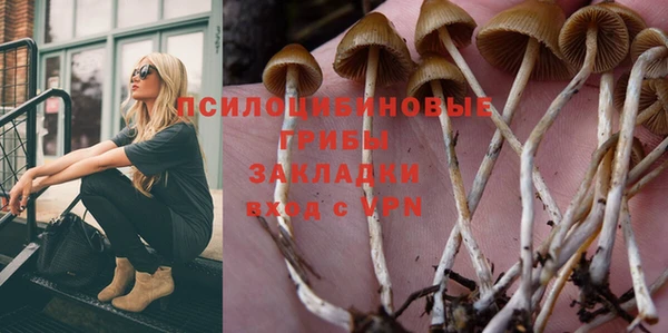 гашик Алексеевка