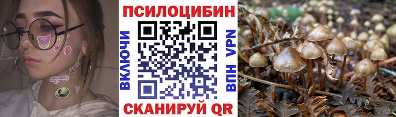 купить наркотики сайты  сайты даркнета как зайти  Псилоцибиновые грибы Psilocybe  Арамиль 